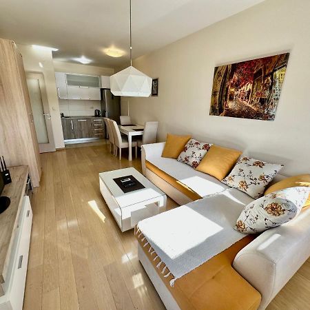 Fanky City Apartments 波德戈里察 外观 照片